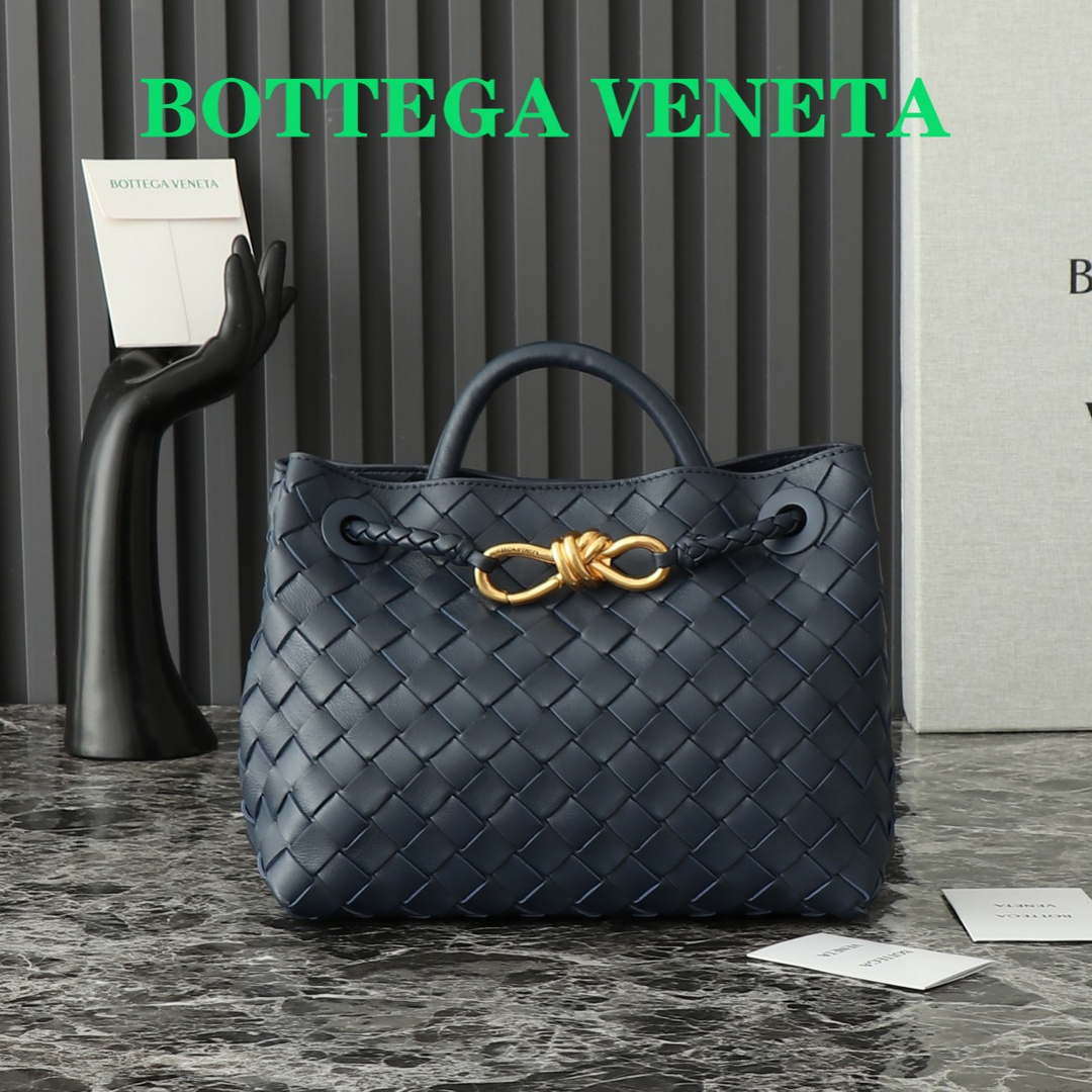 Bottega Veneta BV 743568 Small Andiamo BV9008