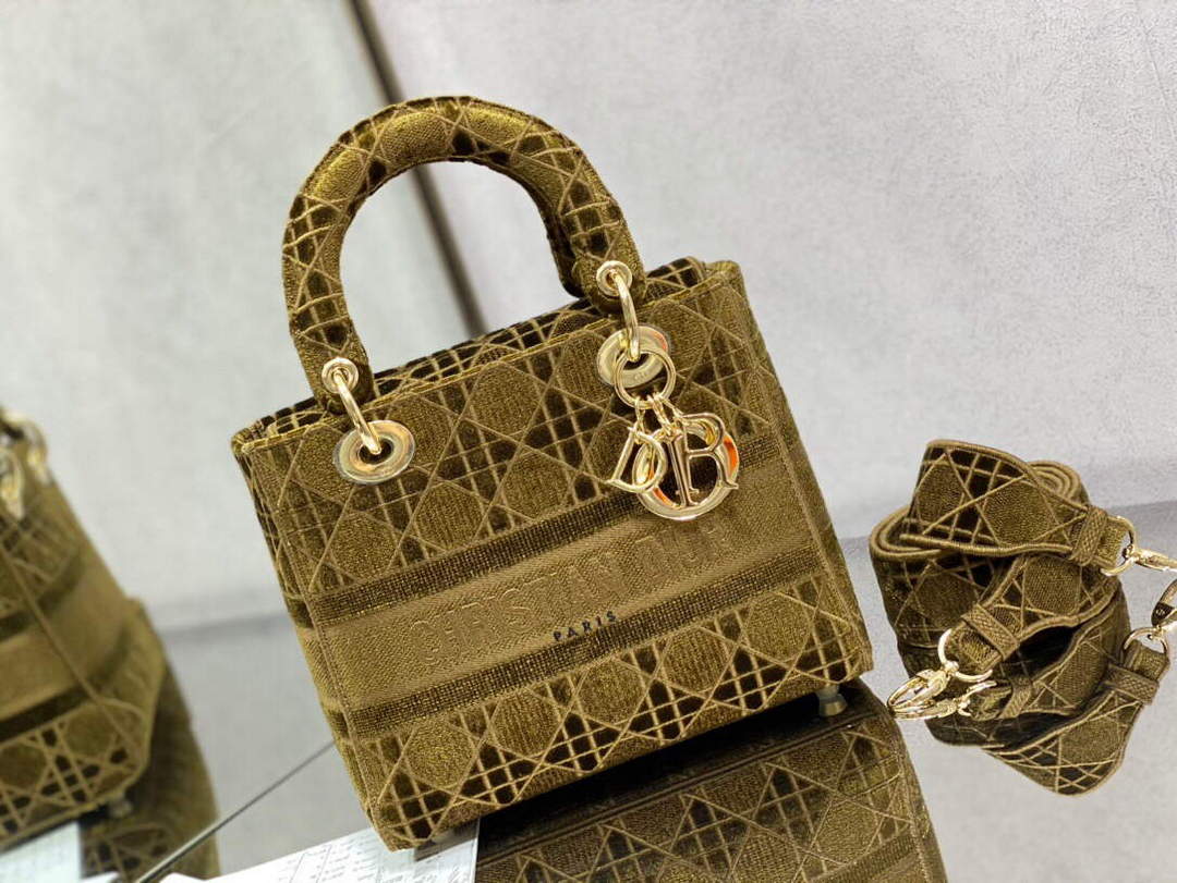 Dior M0565 Medium Lady D-lite Embroidery Bag