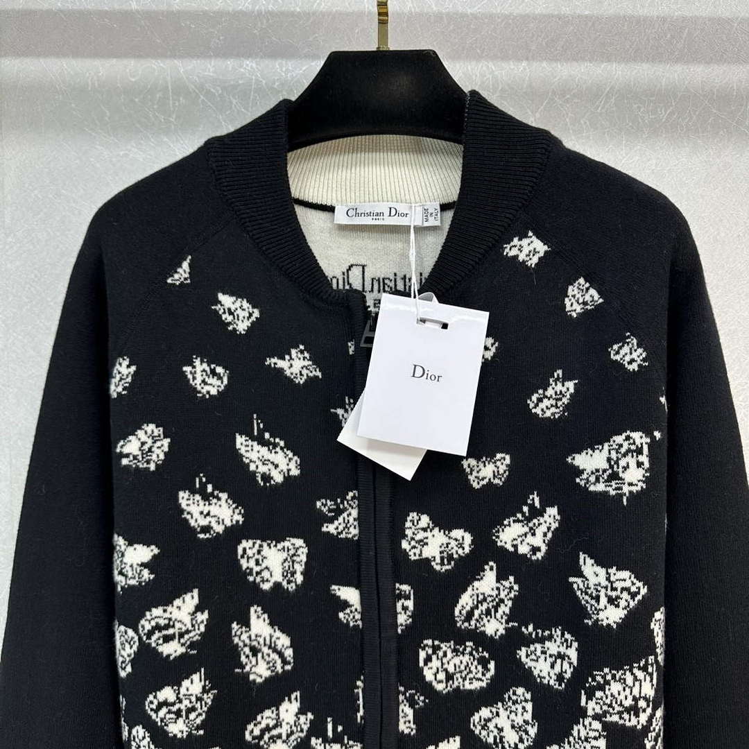 Dior Women’s Fashion Clothing Sweater D38584