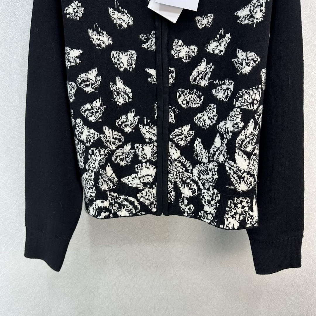 Dior Women’s Fashion Clothing Sweater D38584